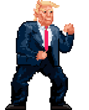 Trump Fighter